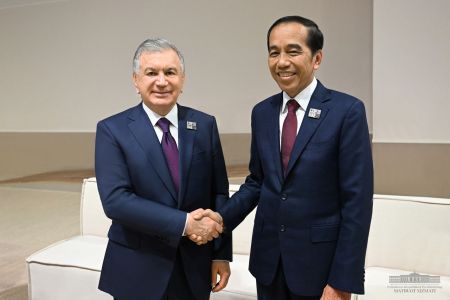 Presidents of Uzbekistan and Indonesia Discuss Development of Bilateral Relations
